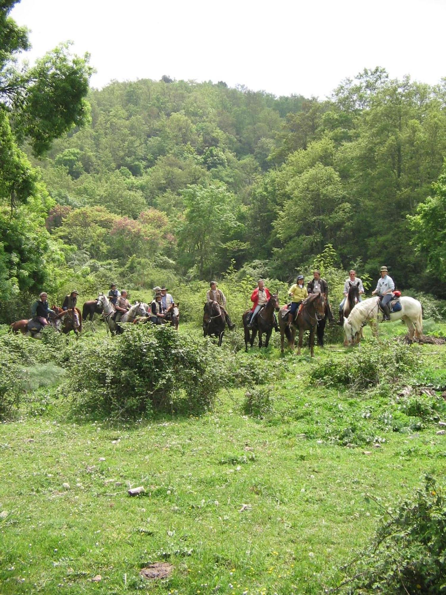 Agriturismo Casale Bonaparte Cellere Екстериор снимка