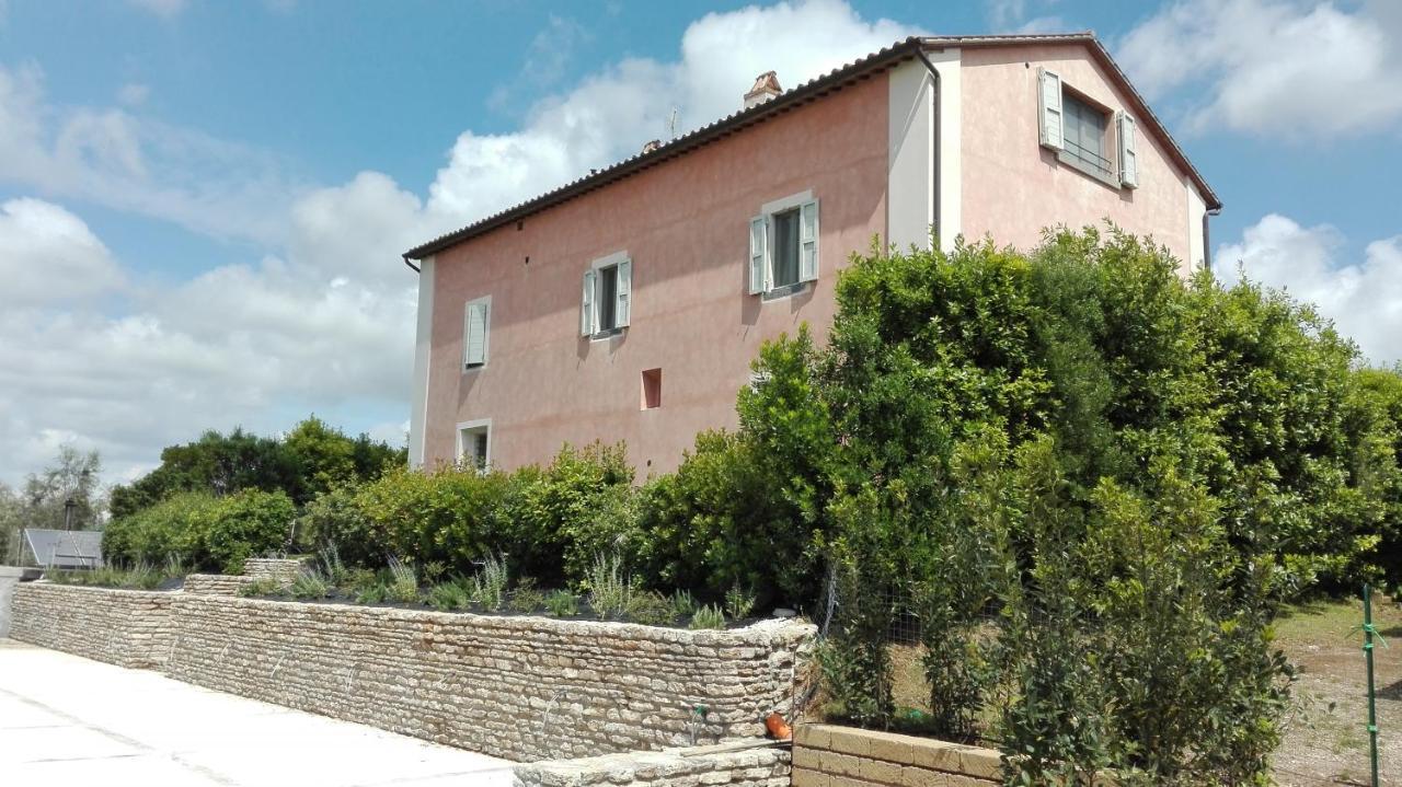 Agriturismo Casale Bonaparte Cellere Екстериор снимка