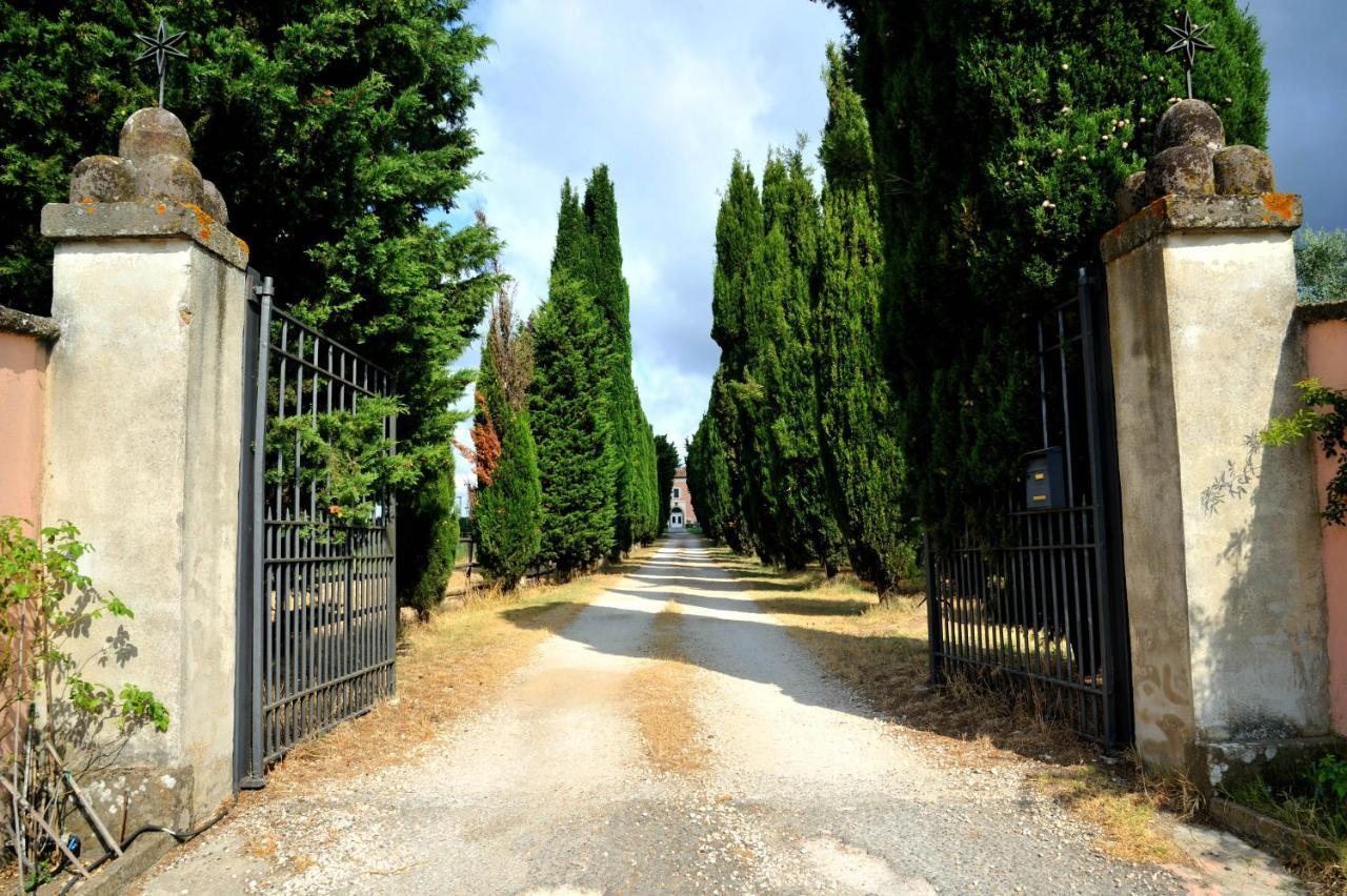 Agriturismo Casale Bonaparte Cellere Екстериор снимка
